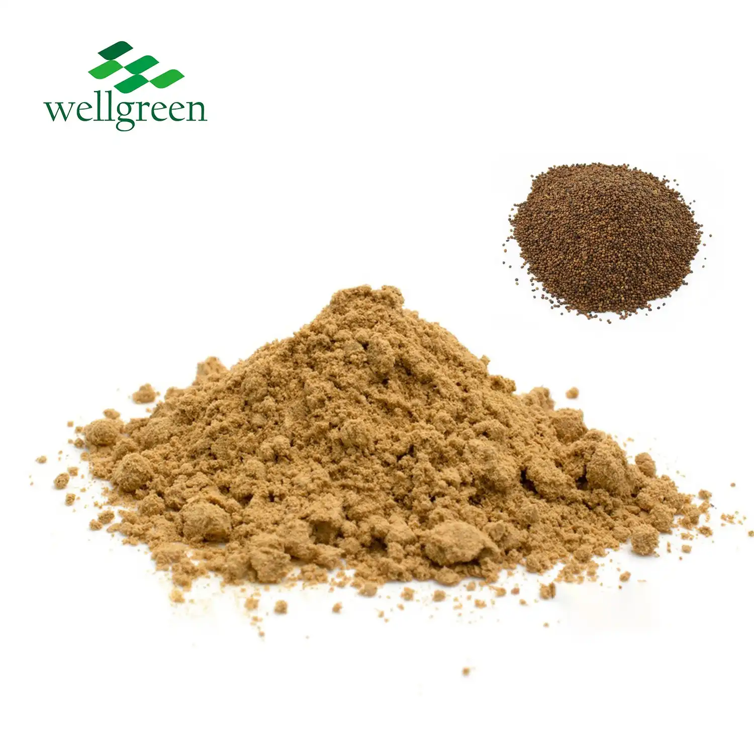 What are the Benefits of Dodder Seed Extract?